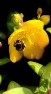IMG_1046.jpeg