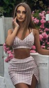 pink and white plaid skirt and top.jpeg