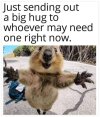 IMG_2644.jpeg