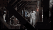 attic-smack-in-the-face.gif