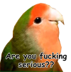 1000093688.png