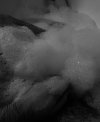 IMG_7299.jpeg