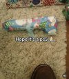 IMG_0878.jpeg