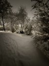 IMG_3294.jpeg