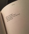 IMG_2435.jpeg
