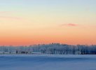 IMG_2616.jpeg