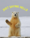 1770448637890.png
