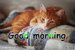 1000007181.gif