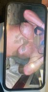 IMG_0512.jpeg