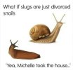 FB_IMG_1769938679448.jpg