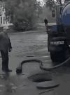 IMG_2724.gif