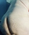 IMG_4424.jpeg