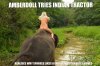 naked-girl-on-elephant-5450.jpg