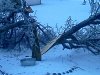 IMG_20110221_111210.jpg