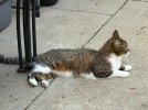 IMG_4080.jpeg