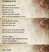 IMG_3991.jpeg