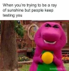 1779072086345.png