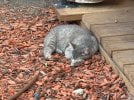 IMG_4841.jpeg