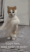 1000016064.gif