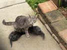 IMG_5245.jpeg