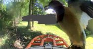 IMG_5906.jpeg