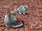IMG_5780.jpeg