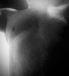 IMG_1223.jpeg