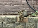 IMG_9434.jpeg