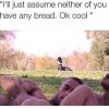 6F3E157E-1100-4A54-97CC-009A7ADB4B64.jpeg