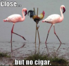 20180402_175149.png