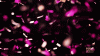 AbleHandyArieltoucan-small.gif