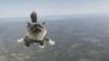 http-%2F%2Fmashable.com%2Fwp-content%2Fuploads%2F2013%2F04%2Fdealwithit.gif