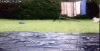 F698779B-D154-4637-9A20-39D1C2143B04.gif