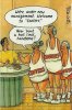 FB_IMG_1544223838831.jpg