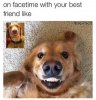 friendship-meme-1513861285.jpg