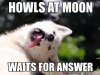 guys-wolf-name-moon-moonmoon-internet-meme-19.jpg