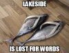 FCN - Fish Shoes.jpg