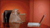 20190103_095543.gif