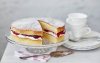 RFO-MedHeroCarousel-963x613-VicSponge-320cdbcb-d75b-4b53-80e8-07a523b7f36d-0-963x613.jpg