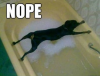 20180325_145745.png