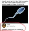 FB_IMG_1548716386669.jpg