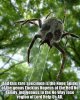 FB_IMG_1549368450806.jpg