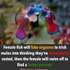FB_IMG_1550030135246.jpg