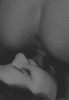 17858013.gif