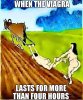 FB_IMG_1550148615173.jpg