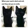 e15693645df5324197f1f5e3fa1f7f43.jpg