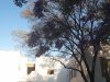 ezgif.com-gif-maker (1).jpg