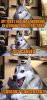 4d99e6a87111a3b9c5de1b9bd7eafd50.jpg