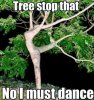FB_IMG_1556208834745.jpg