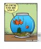 FB_IMG_1556909687489.jpg